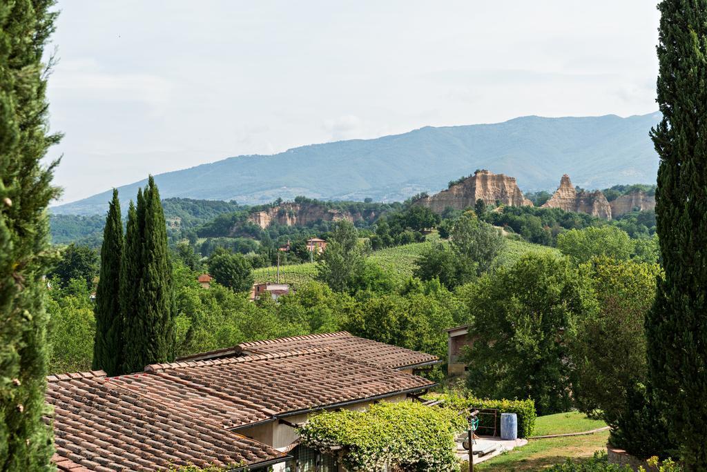 Villa Il Cedro Reggello Exterior foto